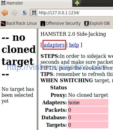 Session Hijacking Using Hamster and Ferret